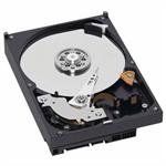 Western Digital WD1002FBYS 1TB SATA2 32MB RAID Hard Drive